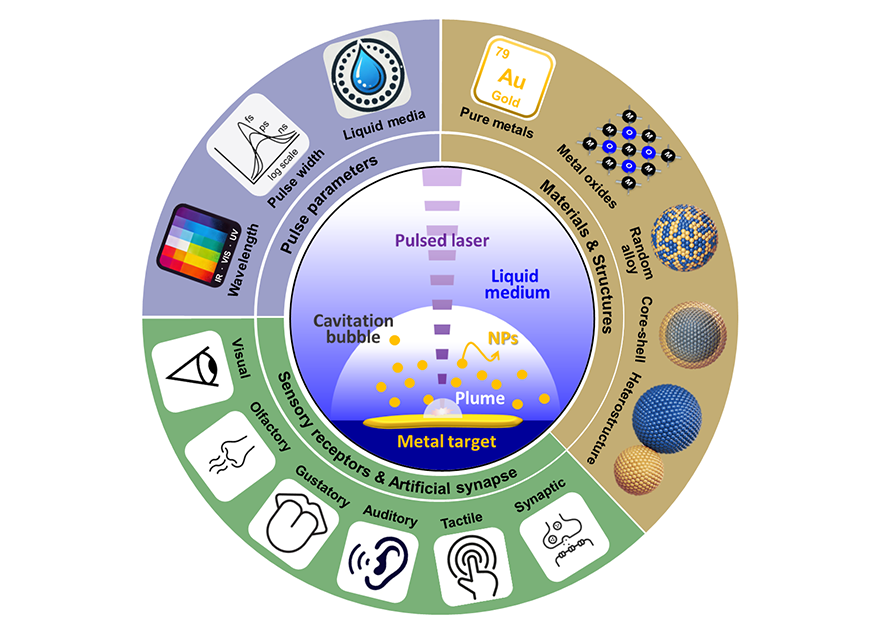 박성준 교수팀, 빛 활용 고순도 금속 나노입자 대량 생산 전략 제시